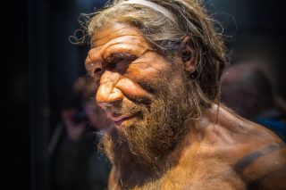 neanterdal